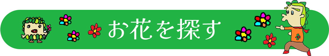 お花を探す