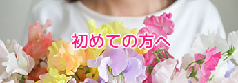 初めての方へ